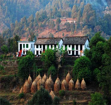 Binsar Corbett Tour Package
